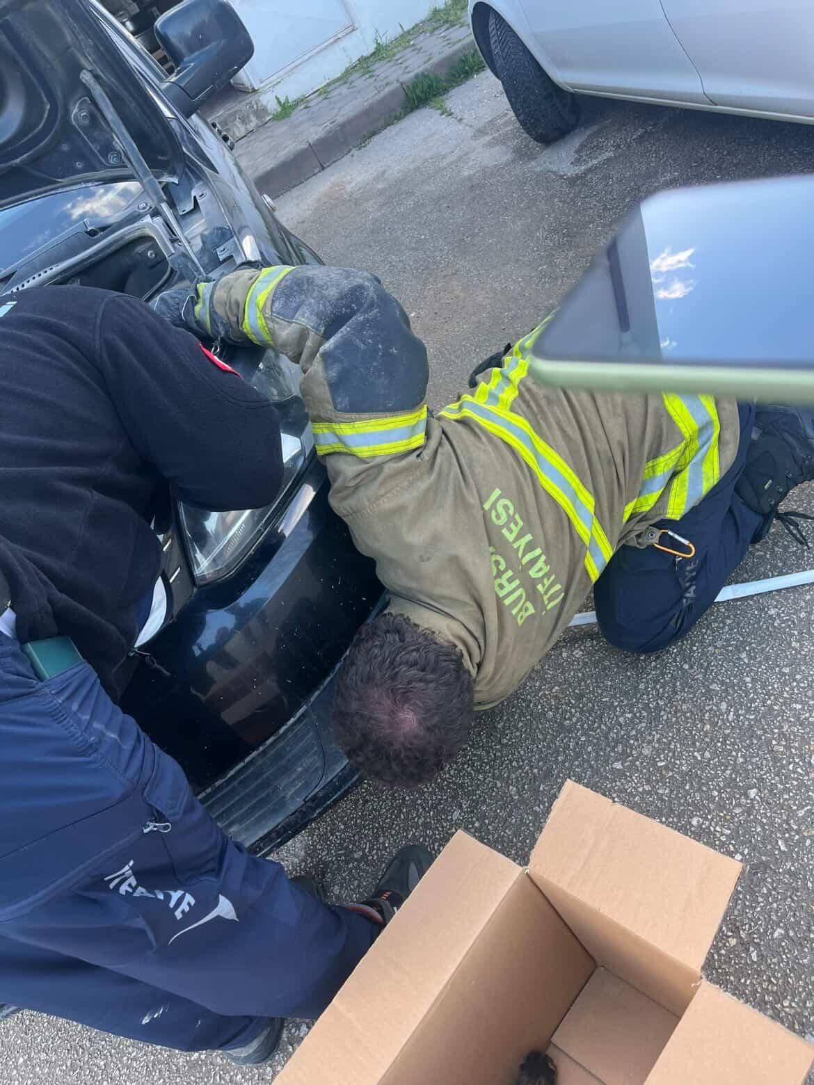 D1Ef1Ea3 D6A5 43A4 B3B7 C6Ba2Ee73E18