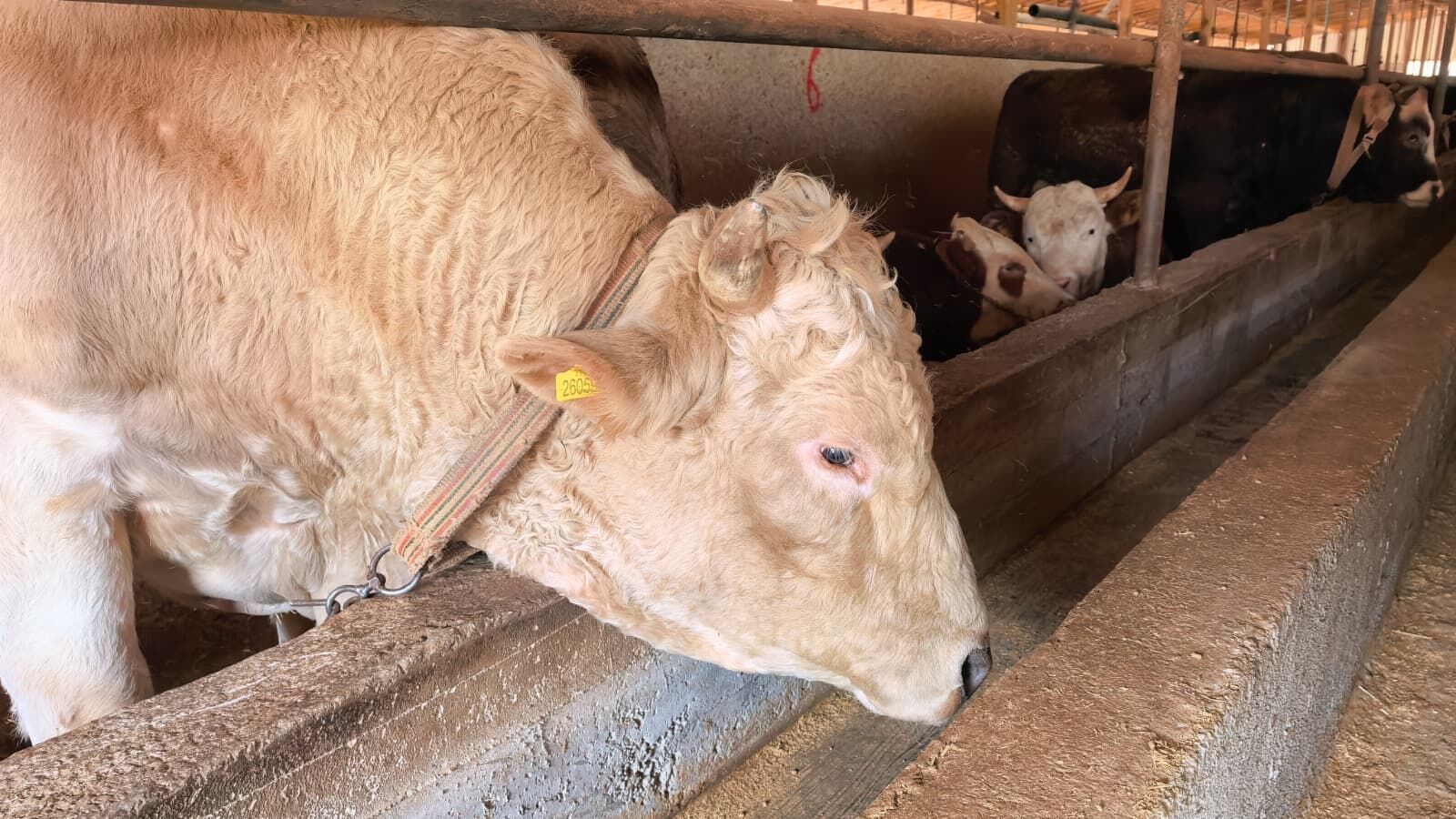 D70Dcc18 30A2 45Ab B1F5 81C61618B38D