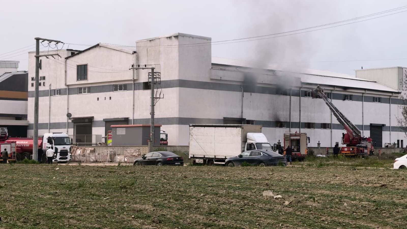 F2782994 F8F8 4Bf8 975C Fa16886C5C87