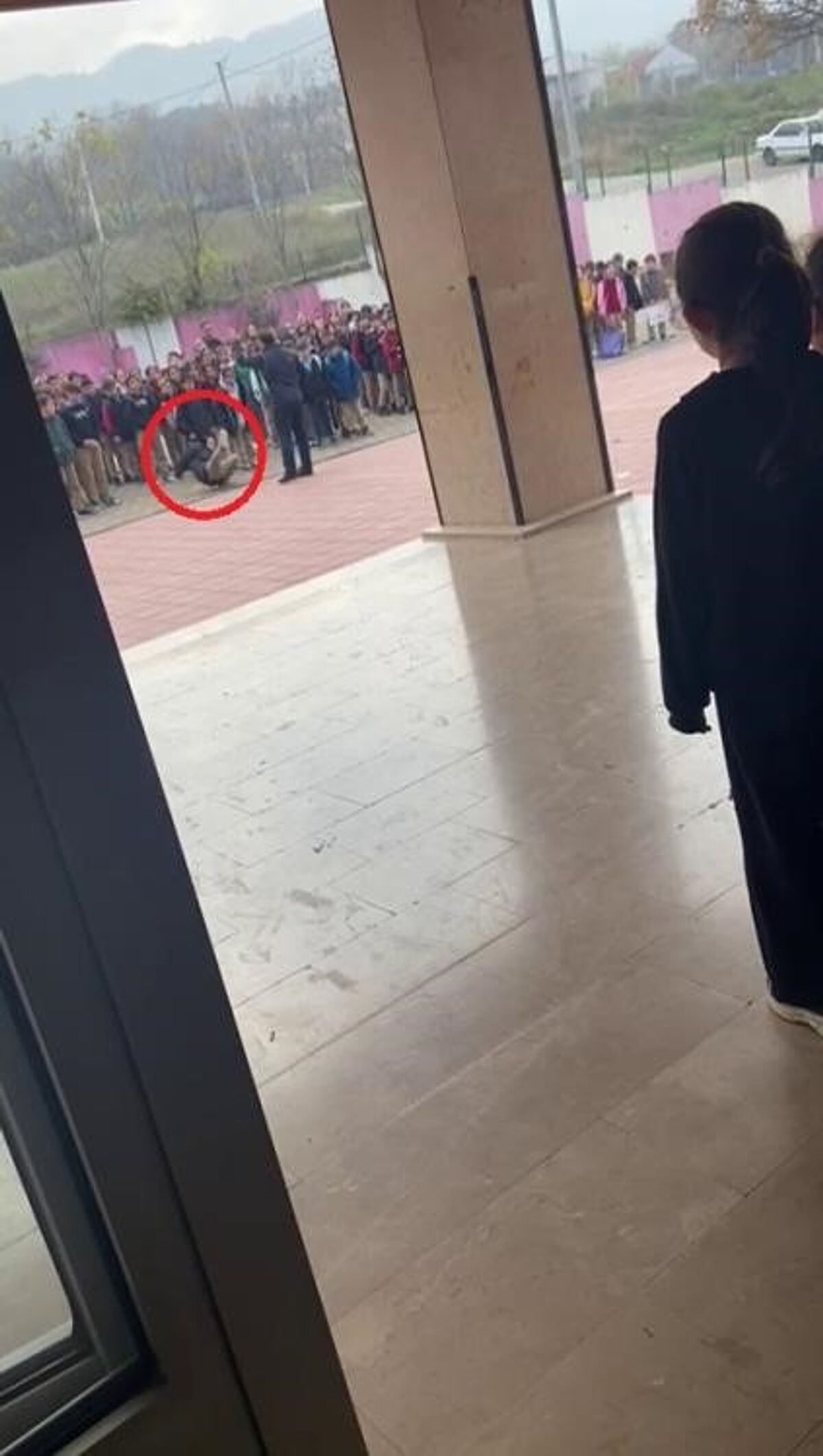 S 9B9B51Fcf295C6A8C459D45714F53161Fd9Abc43