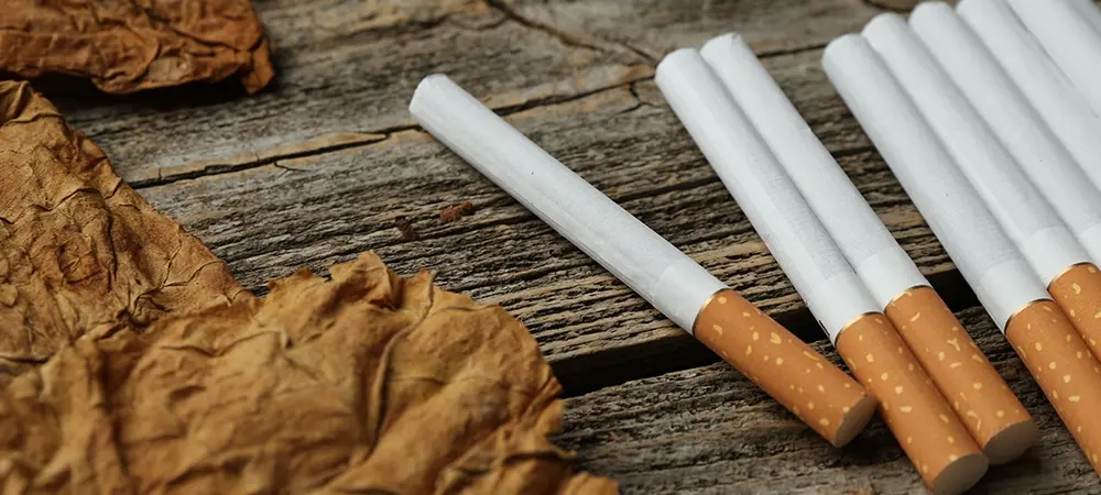 Sigara 23 18914 Web Image B-2