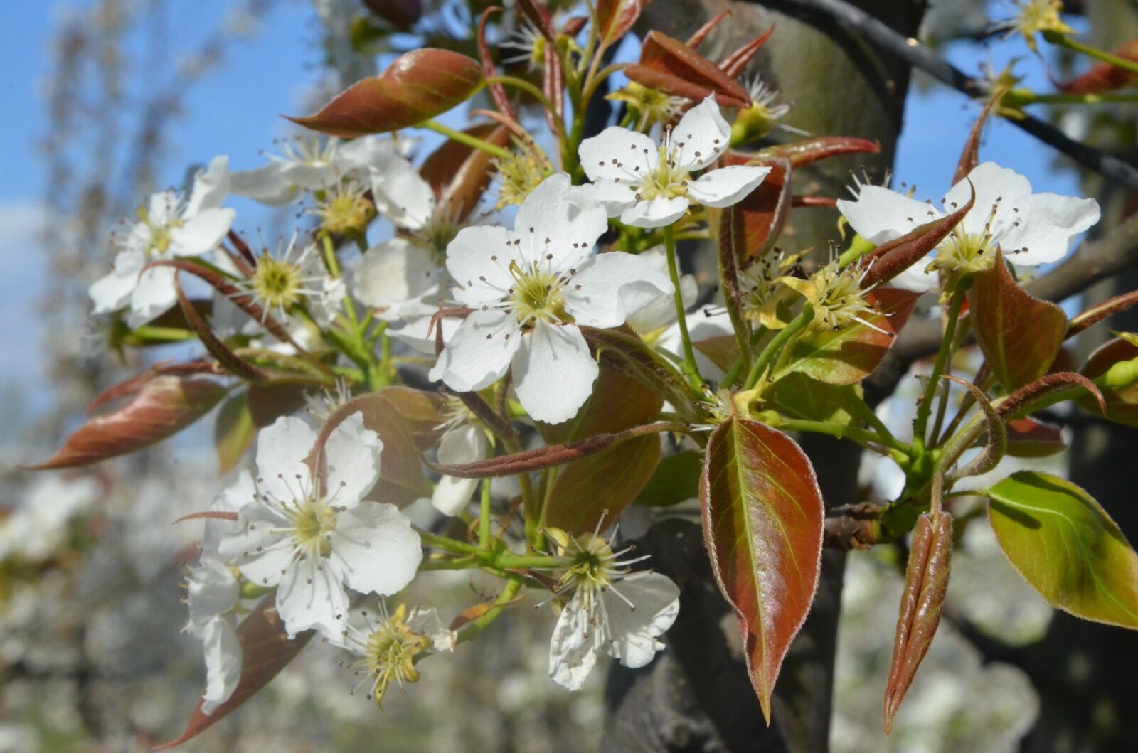 Whatsapp Image 2026 04 08 At 10.33.27 (2)