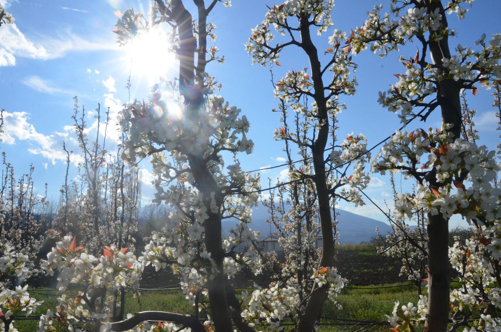 Whatsapp Image 2026 04 08 At 10.33.27