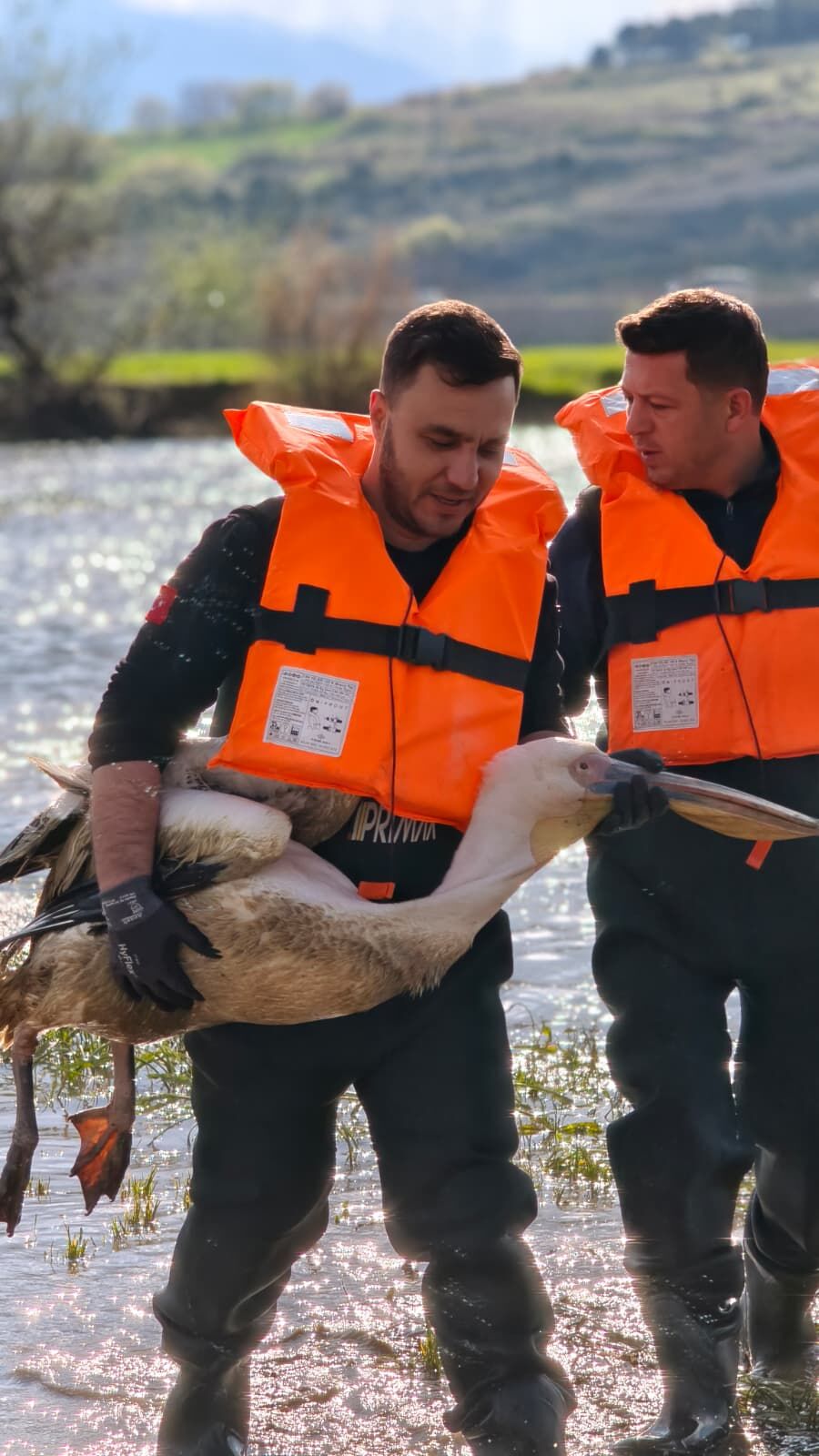 Whatsapp Image 2026 04 20 At 01.55.31 (2)