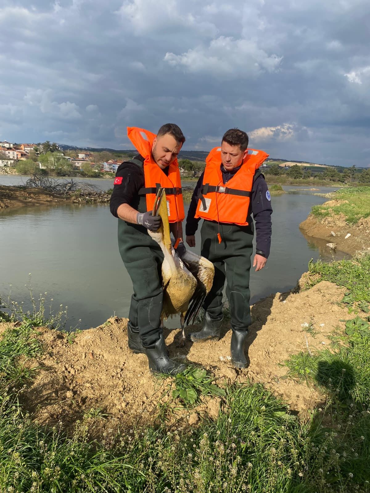 Whatsapp Image 2026 04 20 At 01.55.31