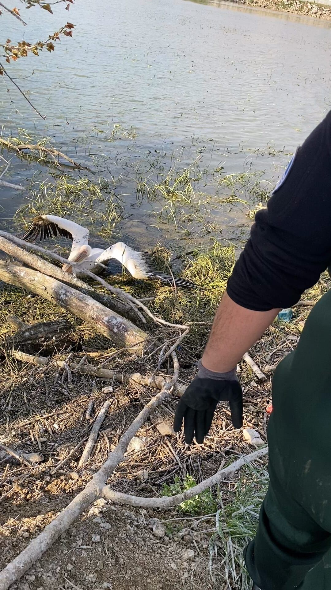 Whatsapp Image 2026 04 20 At 01.56.22