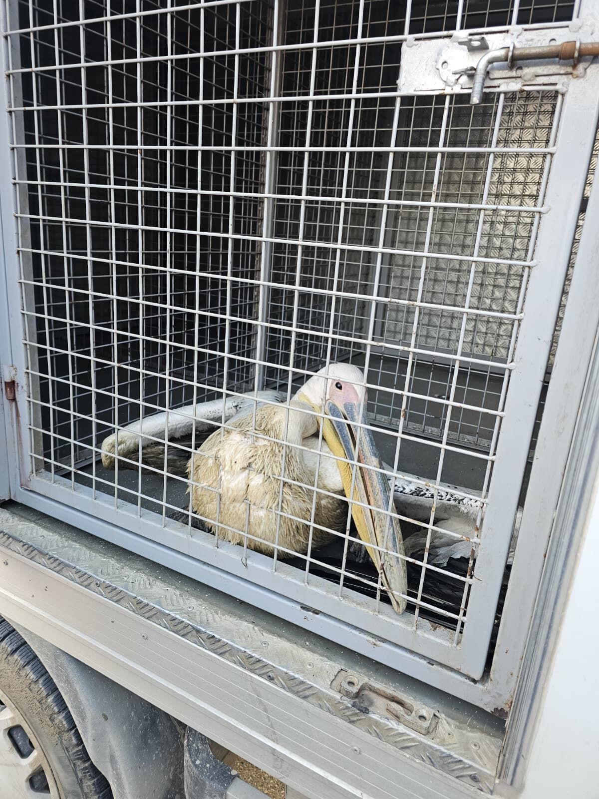 Whatsapp Image 2026 04 20 At 01.56.23