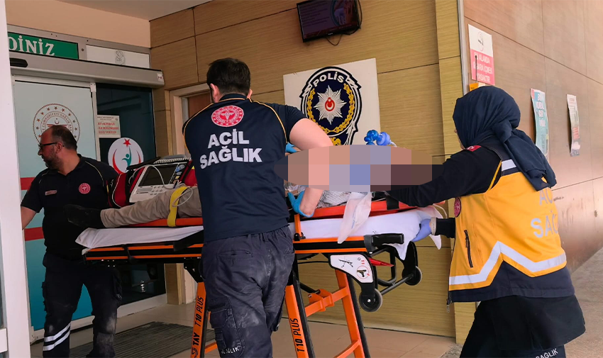 Başlıksız 1.Pngbd-1