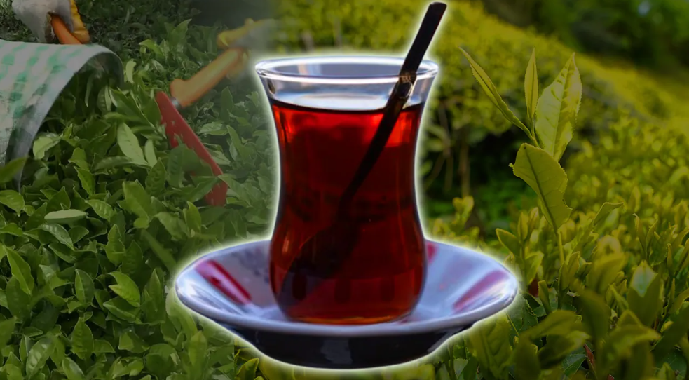 Ekran Görüntüsü 2026 05 13 162721