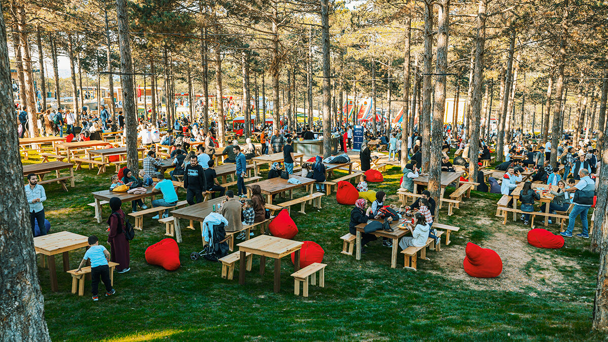 Istanbul Piknik Alanlari Nefes Orman 2024