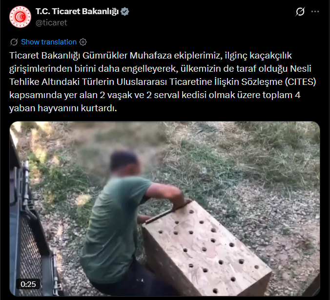 Ekran Görüntüsü 2026 07 12 105700