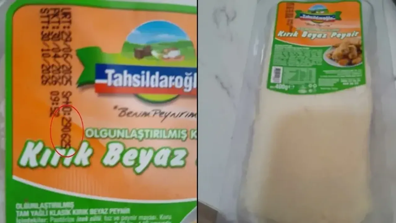 Tahsildaroglundan Listeria Tespitine Iliskin Aciklama 3