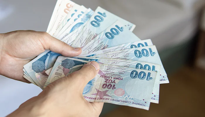Yatirimci Sozlugu Para Arzi-2