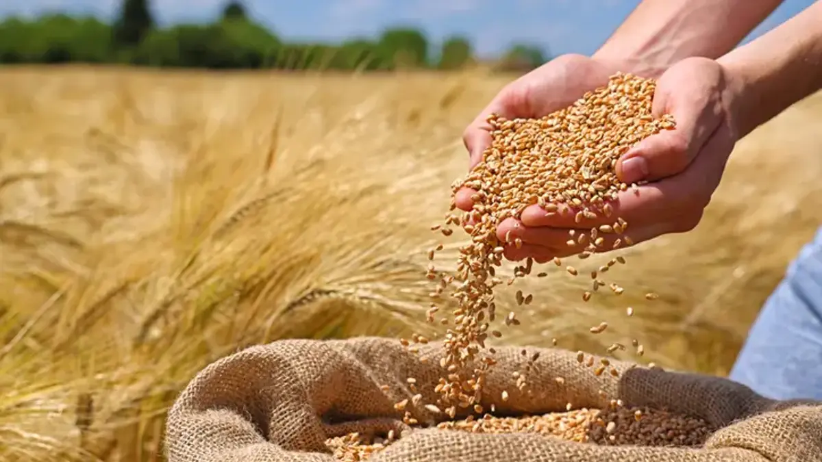 6A743E45337E146D2E102Eae