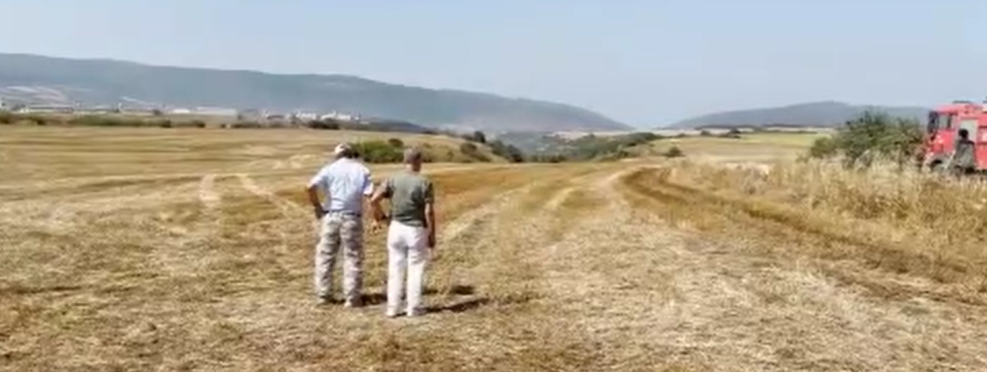 Ekran Görüntüsü 2026 08 08 181138