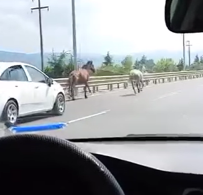 Ekran Görüntüsü 2026 08 15 140731