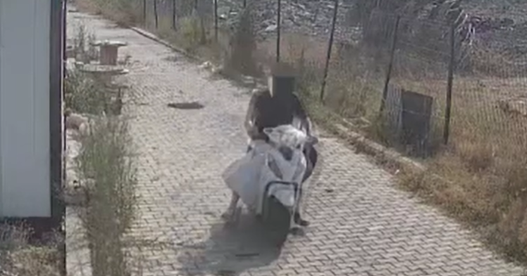 Ekran Görüntüsü 2026 08 21 101154