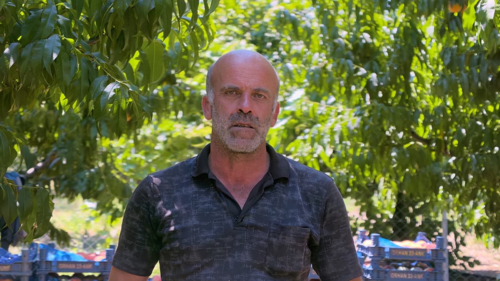 Whatsapp Image 2026 08 04 At 13.15.11 (1)