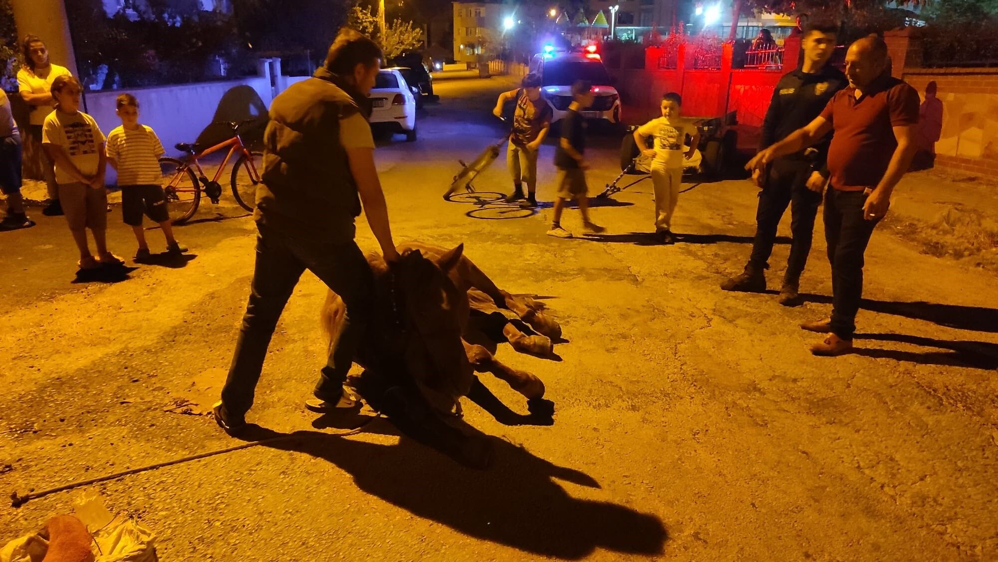 Yerde çaresizce yatıyordu... Sokak ortasında ata yapılanlar mahalleyi ayağa kaldırdı!
