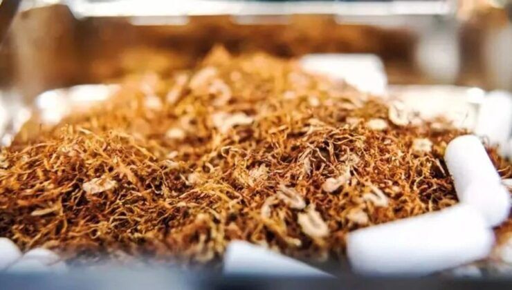 I M G 20260907 W A0031 740X420