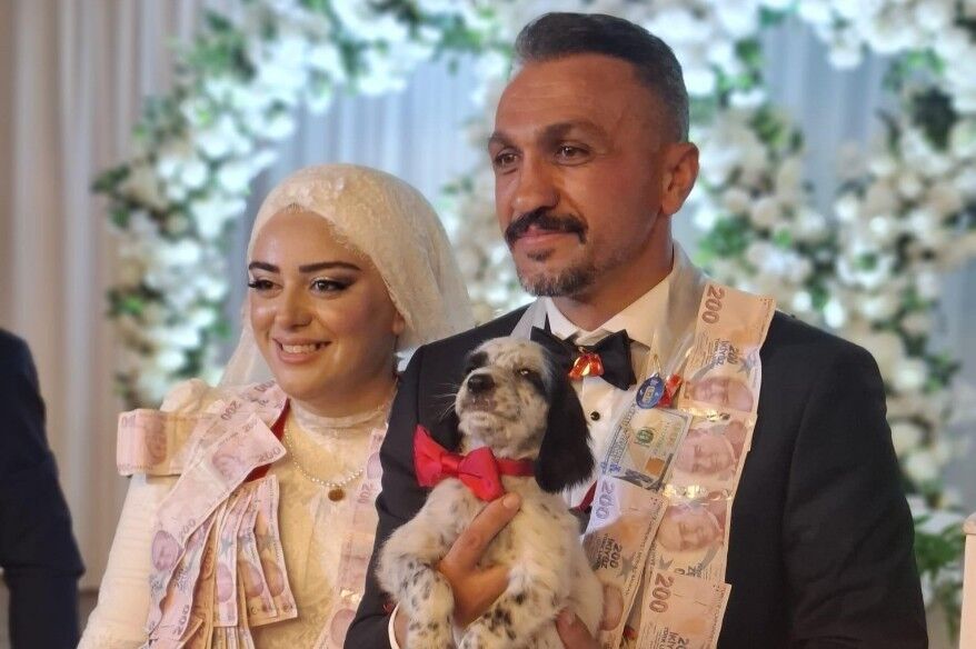 Düğünde altın yerine köpek taktı