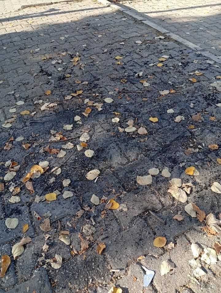 Bilecik'te parkın ortasında ateş yaktılar